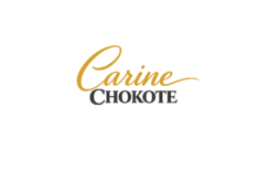 header vesion logo
